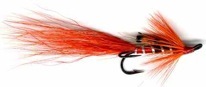 Allysshrimp
